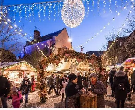 Duplex Saint Lustre, View Over Castle And Storks, 5 Mn From Colmar Eguisheim Exterior photo
