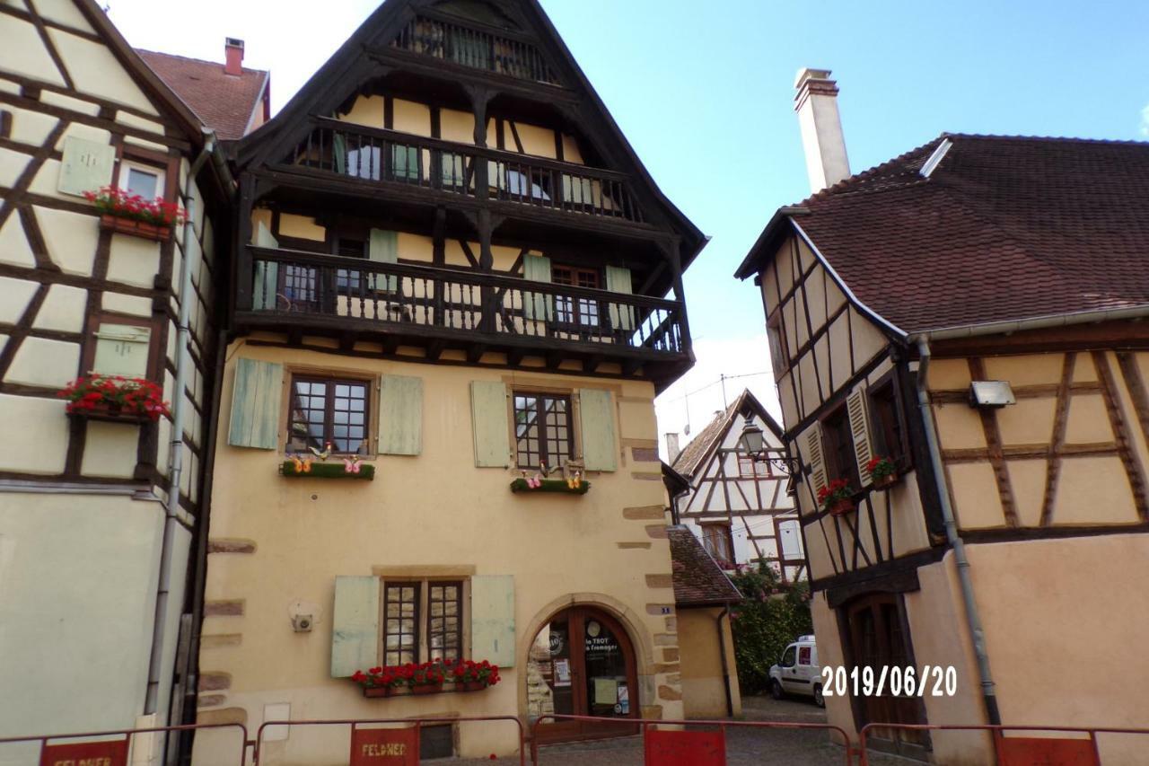 Apartment Duplex Saint Lustre, View Over Castle And Storks, 5 Mn From Colmar Eguisheim