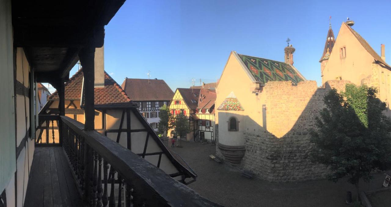 Duplex Saint Lustre, View Over Castle And Storks, 5 Mn From Colmar *